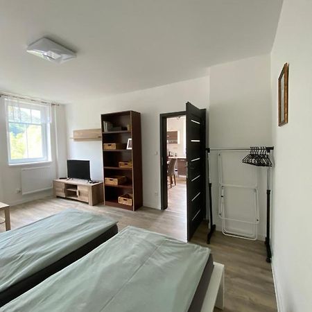 Apartmany U Viaduktu 46 Ústí nad Labem Buitenkant foto