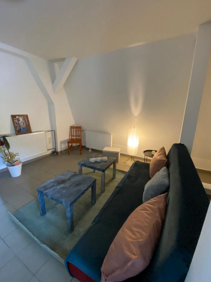 Apartmany U Viaduktu 46 Ústí nad Labem Buitenkant foto