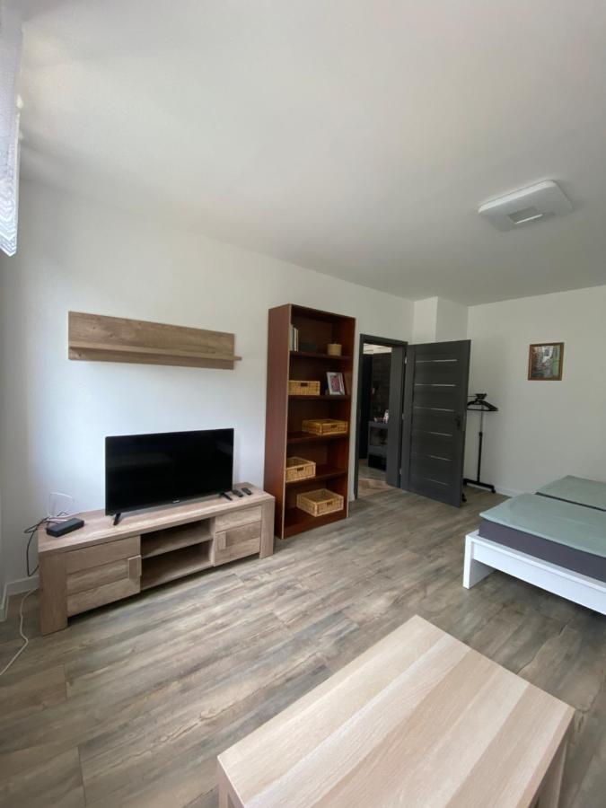 Apartmany U Viaduktu 46 Ústí nad Labem Buitenkant foto