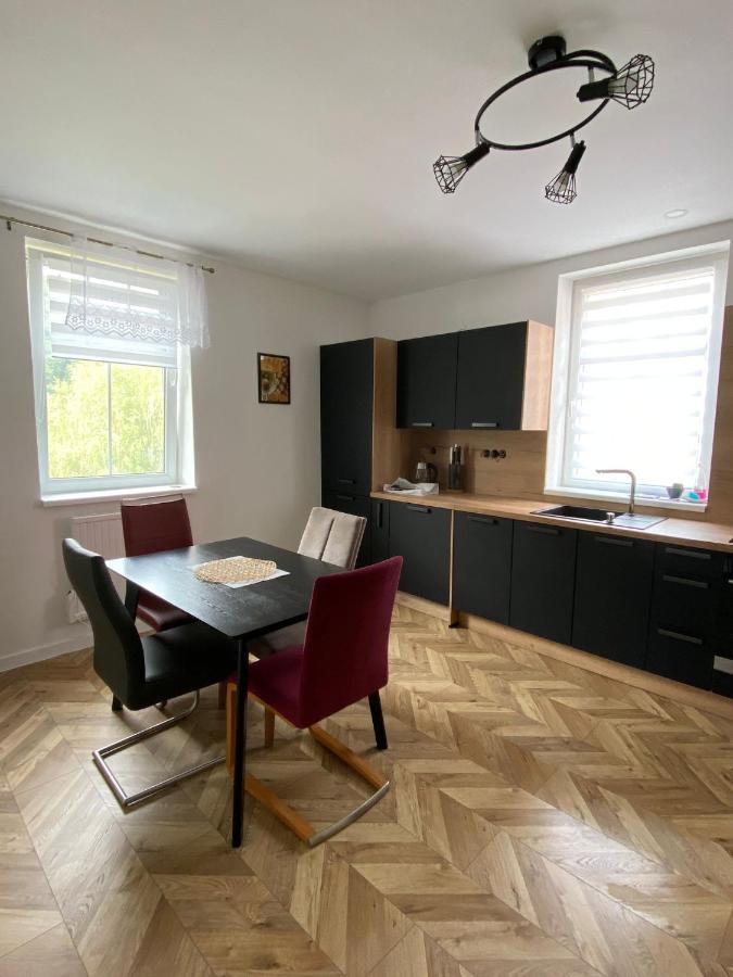 Apartmany U Viaduktu 46 Ústí nad Labem Buitenkant foto