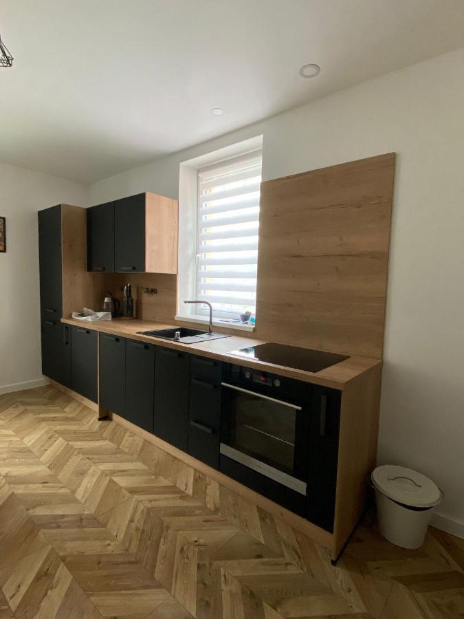 Apartmany U Viaduktu 46 Ústí nad Labem Buitenkant foto